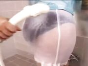 Japanese Housewife Mature