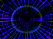 Samantha Sez - Compliance 101