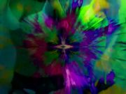 Samantha Sez - Compliance 101