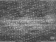 Sissy Boy Porn Video, Sissy Boy Sexy