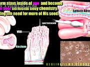 Sissy Cuckold Porn, Sissy Boy Bbc