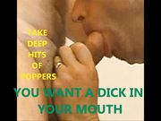 No Pussy Just Big Cocks Popper Trainer