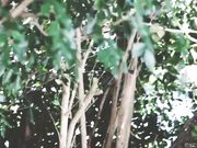 MyCherryCrush - Outdoor Blowjob