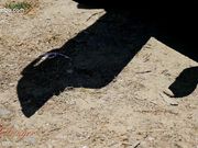 Xev Bellringer — Taming Your Goddess