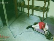 Xev Bellringer — Is Your Captive