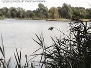 GangBang-Wife_gb-wife_outdoor-marion04