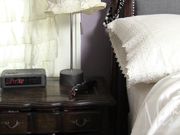 Miss Missa X - Panther