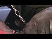 Sado Ladies - Husband Bootslave_P1