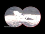 Sado Ladies - Boot Camp_P1