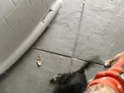 Emily Lynne -  Masturbating While Traveling Home