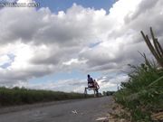 Mistress Courtney - Whipped Carriage Pony