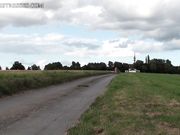 Mistress Courtney - Whipped Carriage Pony