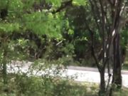 Lily Lou - Public Fun With Keri And