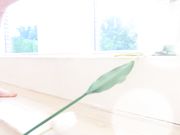 Sia_Siberia - Elf And Glass Dildo In Ass