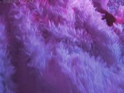 Sia_Siberia - Freddy's Cuming For You