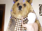 Sia_Siberia - Frozen Elza Fucks Pussy & Asshole