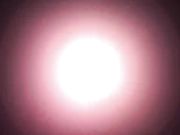 Angela Sommers (Poolside Finger)