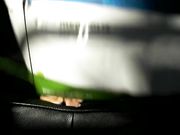 Lady Poison Ivy - Buttcrush Box And Toy Doll 2