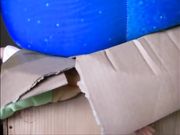 Lady Poison Ivy - Buttcrush Box And Toy Doll