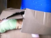 Lady Poison Ivy - Buttcrush Box And Toy Doll