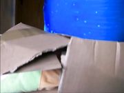 Lady Poison Ivy - Buttcrush Box And Toy Doll