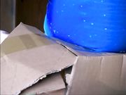 Lady Poison Ivy - Buttcrush Box And Toy Doll