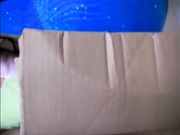 Lady Poison Ivy - Buttcrush Box And Toy Doll