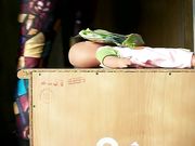 Lady Poison Ivy - Buttcrush Box On Doll