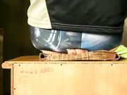 Lady Poison Ivy - Buttcrush Doll On Box