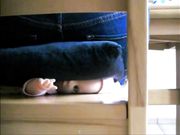 Lady Poison Ivy - Buttcrush Doll Under Cushion 2