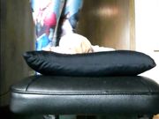 Lady Poison Ivy - Buttcrush Smother Toy Doll 2