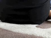 Goldie Blair - Tiny Pet