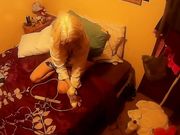 Annabelle Bestia Harry Potter The Bad Potion