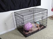 DiaperedOnline - Pastel - Locked in Cage