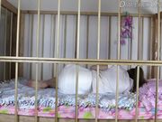 DiaperedOnline - Pookie - Castor Oil Mess Crib