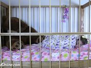 DiaperedOnline - Pookie - Masturbating in Crib