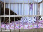 DiaperedOnline - Pookie - Masturbating in Crib