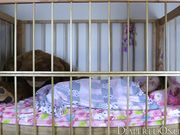 DiaperedOnline - Pookie - Unassisted Messing in Crib