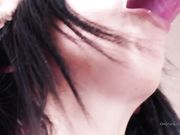 Dotti Pink - Office Puppy Plays