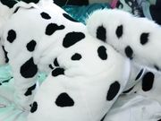 Dotti Pink - Part One Fursuit Show Live On Chaturbate