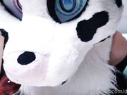 Dotti Pink - Pet Play Tits