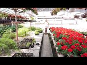 TianaLive - hollyhotwife - Flashing With Flowers