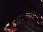 misskittymoon - Sneaky Backseat Fun Ft Bad Dragon Toy