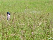 kati3kat - Strawberry Cream