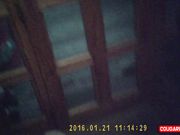 Doris Dawn - As It Snows