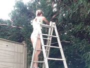 Doris Dawn - Move Up The Garden Ladder!