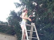 Doris Dawn - Move Up The Garden Ladder!