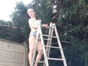 Doris Dawn - Move Up The Garden Ladder!