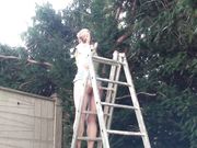 Doris Dawn - Move Up The Garden Ladder!
