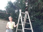Doris Dawn - Move Up The Garden Ladder!
